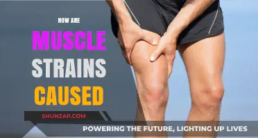 Understanding Muscle Strains: Causes and Prevention