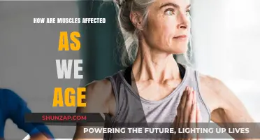 Aging and Muscles: Understanding the Changes Over Time