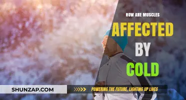Chilling Effects: How Cold Weather Impacts Your Muscles