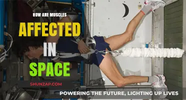 Zero Gravity, Maximum Impact: Understanding Muscle Adaptation in Space