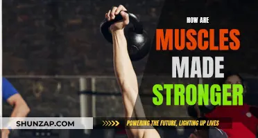 Building Muscle Strength: Unlocking the Secrets to Success