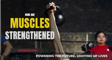 Building Muscle: Understanding the Science of Strength Training