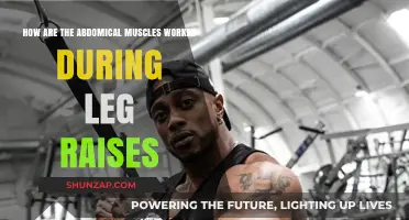 How Leg Raises Engage and Strengthen Your Abdominal Muscles