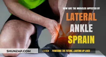 Impact of Lateral Ankle Sprain on Muscular Function and Recovery
