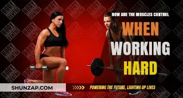 Mastering Muscle Control: Unlocking Peak Performance During Intense Workouts