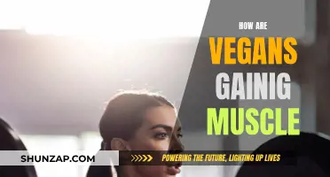 Vegan Muscle Gain: Strategies for Building Strength and Size