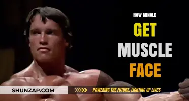 Sculpting Strength: The Journey to Arnold's Iconic Muscle Face