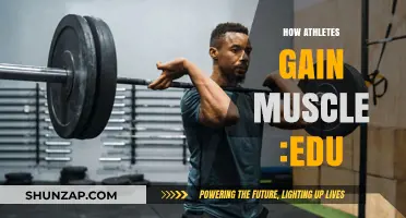 Effective Muscle-Building Strategies for Athletes: Science-Backed Methods Explained