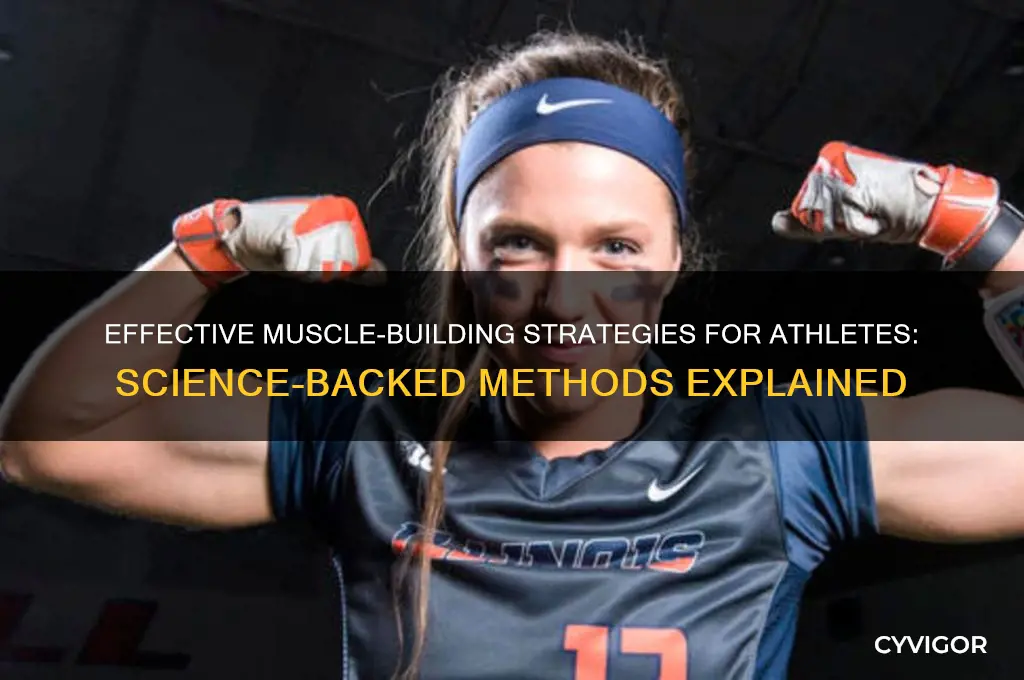 how athletes gain muscle :edu