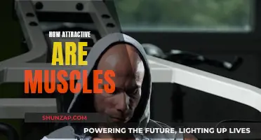 Muscles: The Ultimate Attraction Formula
