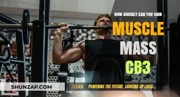 Rapid Muscle Mass Gain: Strategies for Quick and Effective Results
