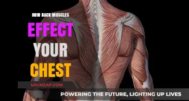 Unveiling the Connection: How Back Muscles Influence Your Chest