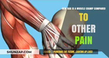 Muscle Cramps vs. Other Pain: Severity, Causes, and Relief Explained