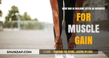 Walking Post-Workout: Hindering Muscle Gain or Harmless Recovery?