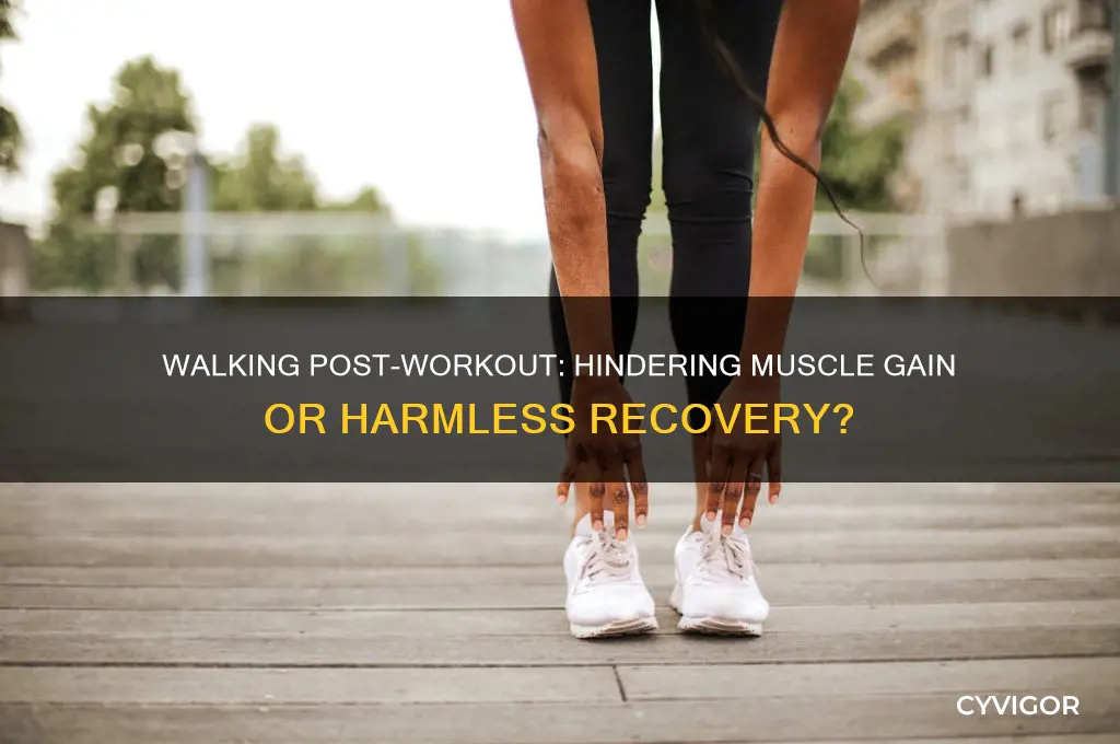 how bad is walking after aa workout for muscle gain