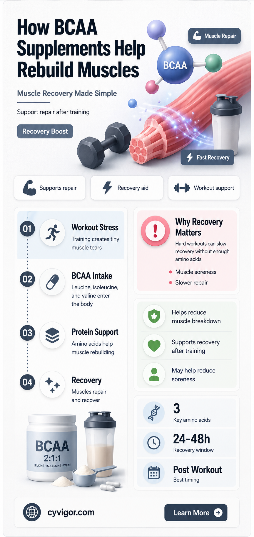 are muscles rebuilt by bcaas