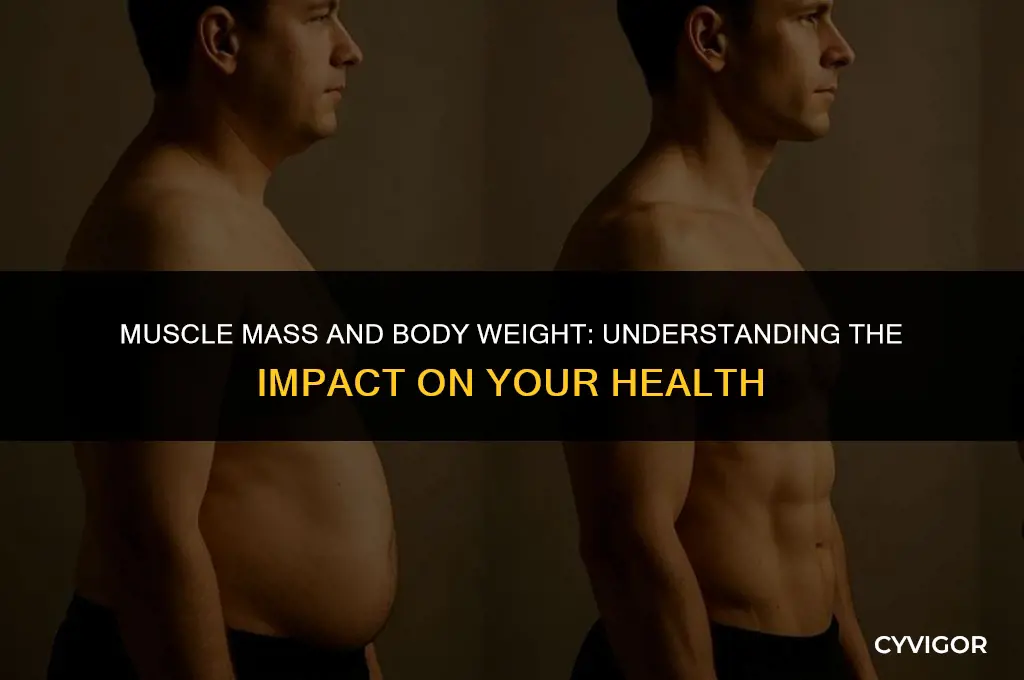 how being heavier iwth muscles affects you