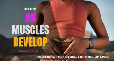 Belly Ab Muscle Development: Secrets to Success