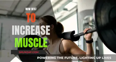 Building Muscle: Effective Strategies for Maximum Results