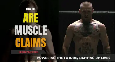 Muscle Claims: How Big Are They Really?