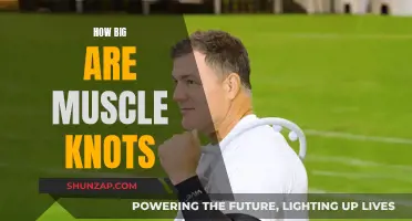 Muscle Knots: Understanding Their Size and Impact