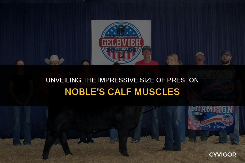 how big are preston noble