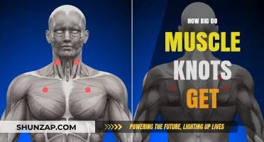 Exploring the Limits: How Large Can Muscle Knots Grow?