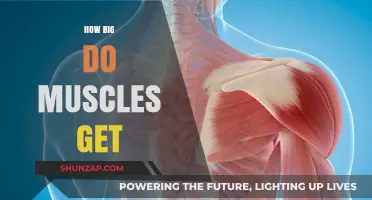 Unleashing Growth: The Science Behind Muscle Size and Strength