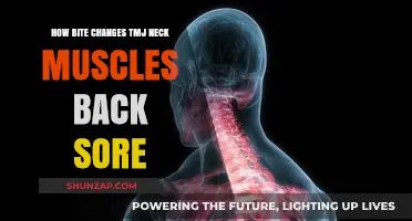 Bite Misalignment: How TMJ Affects Neck Muscles and Causes Back Pain