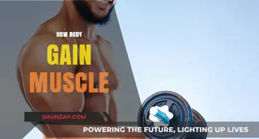 Unlocking Muscle Growth: Science-Backed Strategies for Building Strength