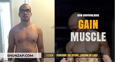Effective Muscle-Building Strategies for Bodybuilders: Training, Nutrition, and Recovery
