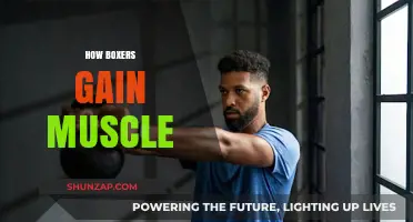 Boxers' Muscle-Building Secrets: Training, Nutrition, and Recovery Strategies