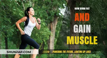 Burn Fat, Build Muscle: Effective Strategies for a Stronger You