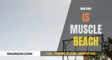 Muscle Beach: A Busy, Vibrant Fitness Hub