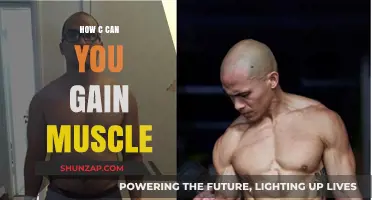 Effective Strategies to Build Muscle Mass and Strength Naturally