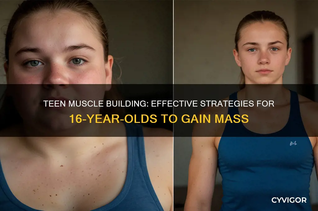 how can a 16 year old gain muscle mass