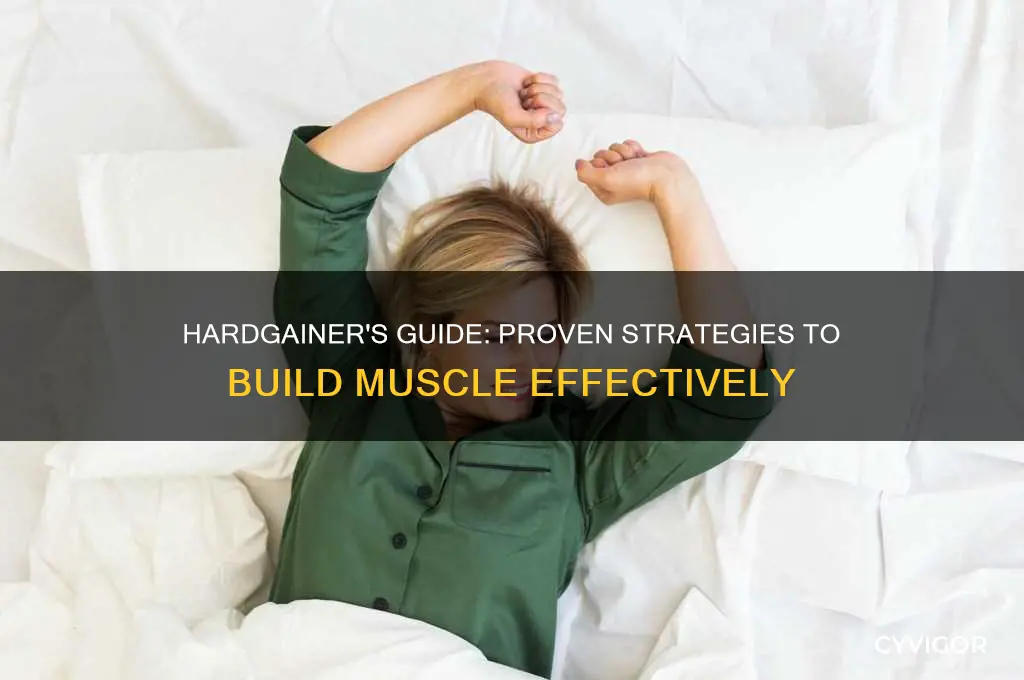 how can a hardgainer gain muscle