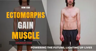 Ectomorph Muscle Gain: Strategies for Building Mass Effectively