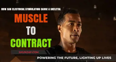 Electrical Stimulation: Making Muscles Contract