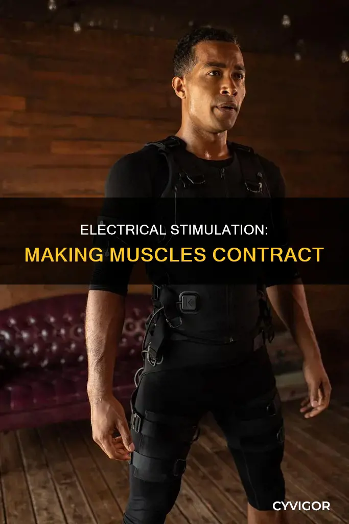 how can electrical stimulation cause a skeletal muscle to contract