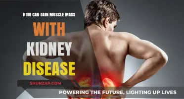 Building Muscle Safely with Kidney Disease: A Comprehensive Guide