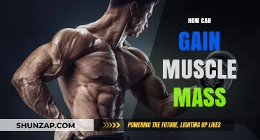 Effective Strategies to Build Muscle Mass and Strength Fast