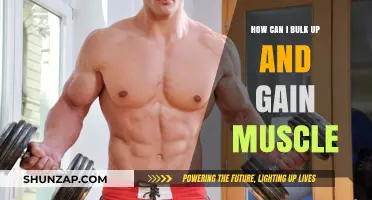 Effective Strategies to Bulk Up and Build Muscle Mass Fast