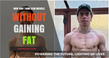 Lean Muscle Gains: Strategies to Build Muscle Without Adding Fat