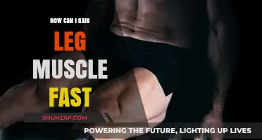 Effective Strategies to Build Leg Muscle Quickly and Safely
