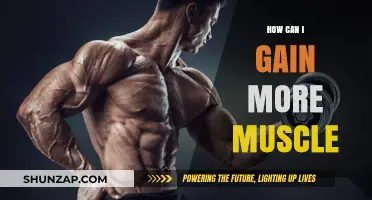 Effective Strategies to Build Muscle Mass and Strength Fast