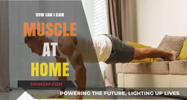 Effective Home Workouts to Build Muscle Without Gym Equipment