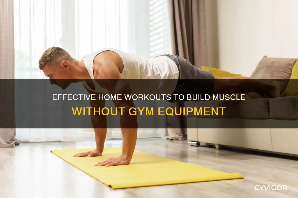 how can i gain muscle at home