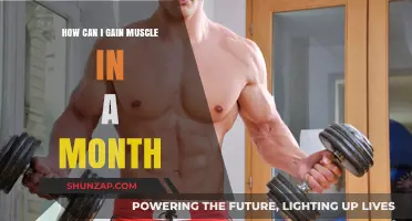 Effective Strategies to Build Muscle Mass in Just One Month