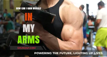 Effective Arm Muscle Building: Tips for Stronger, Toned Arms Fast